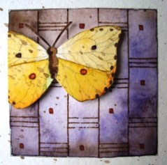 Florals & Butterflies